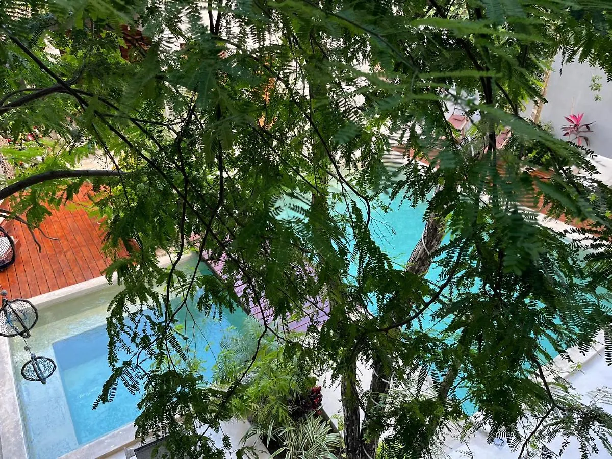 Little Gem Hotel Tulum La Veleta
