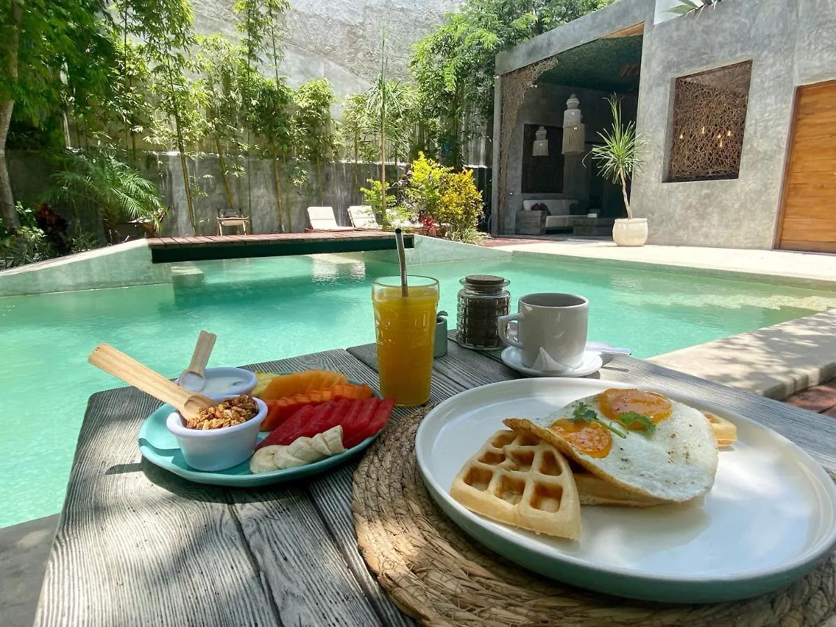 Little Gem Hotel Tulum La Veleta contacts