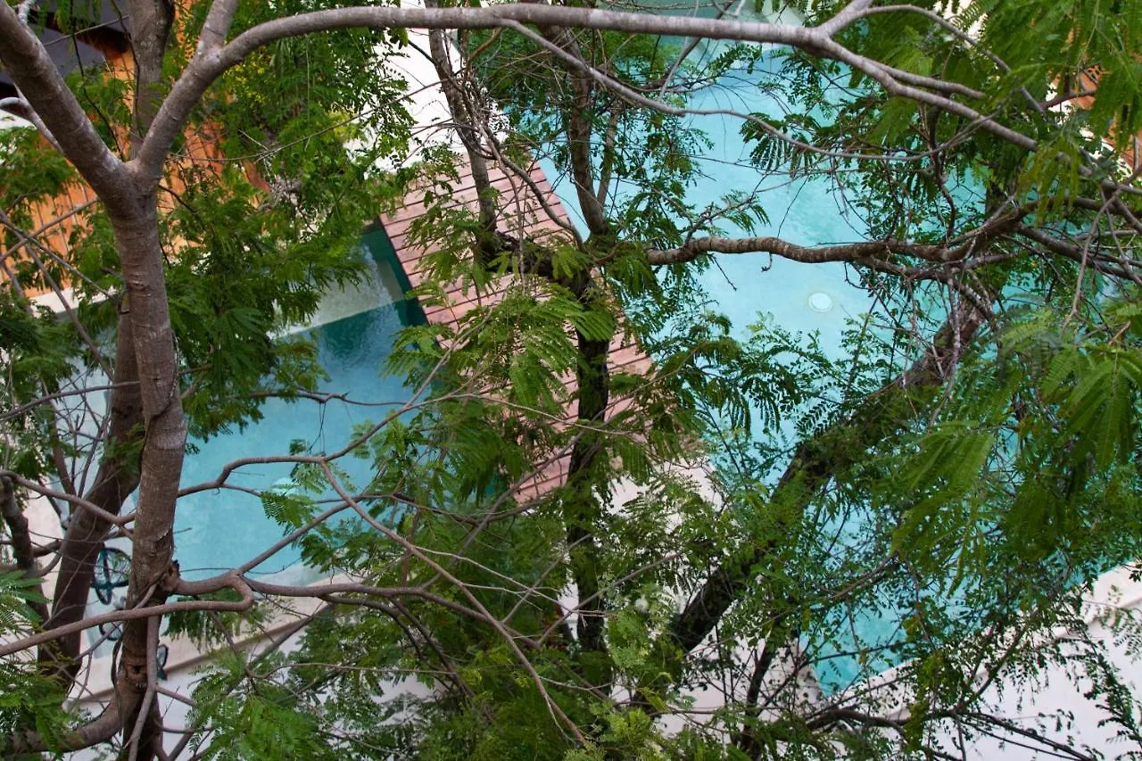 Little Gem Hotel Tulum La Veleta Mexico
